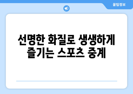 스포츠 실시간 고화질 중계 추천 사이트