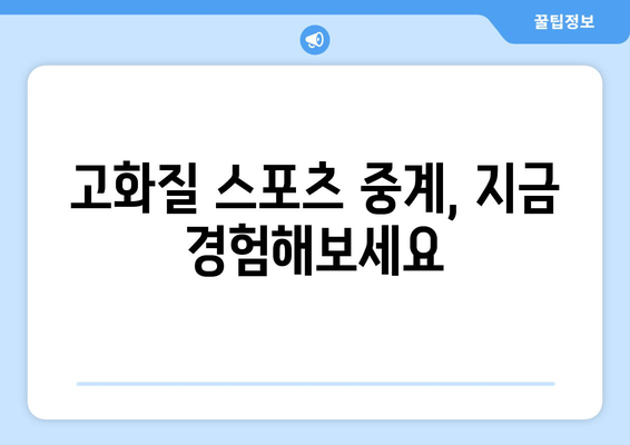 고화질 스포츠 실시간 중계: 최상의 시청 경험