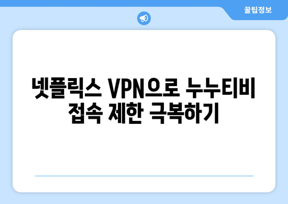 넷플릭스 VPN으로 누누티비 차단 해제하기