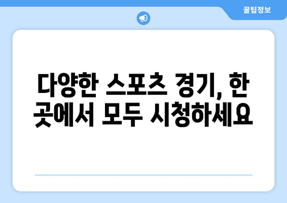 고화질 스포츠 실시간 중계: 최고의 시청 경험 제공 사이트