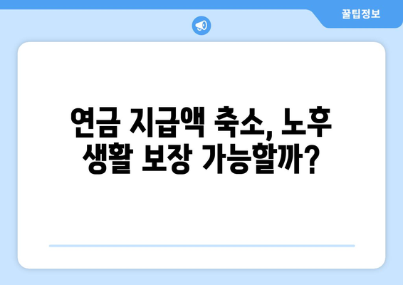 연금개혁안 문제점: 국민연금 개혁안의 위험 요소