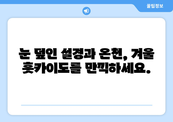 훗카이도 여행 가이드, 자연과 전통을 동시에 느끼는 방법