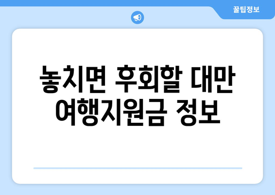 대만 여행지원금, 혜택 받고 떠나는 알뜰 여행