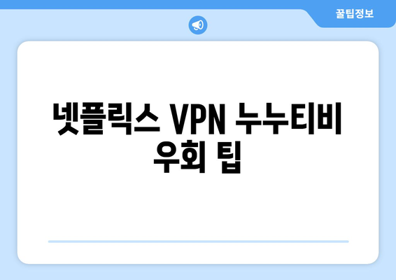 넷플릭스 VPN 누누티비로 안전하게 우회하는 방법