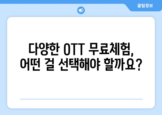 OTT 무료체험, 이렇게 시작하면 좋습니다