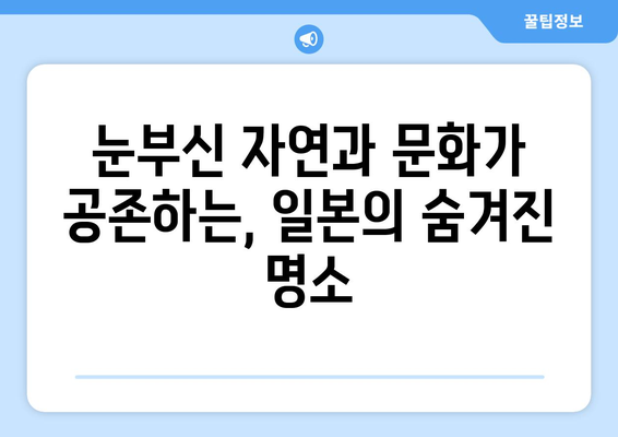 일본 여행지 추천, 인기 여행지부터 숨겨진 명소까지