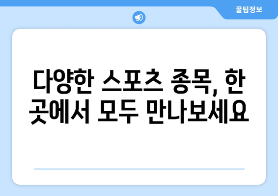 스포츠 실시간 라이브 스트리밍 인기 플랫폼