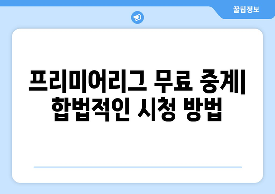 프리미어리그 무료 중계: 합법적인 시청 방법