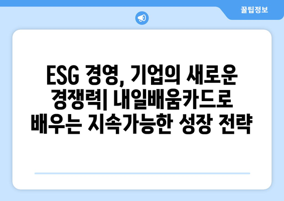 내일배움카드로 배우는 최신 기업 사회적 책임(CSR) 전략