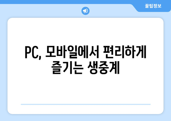 실시간 스포츠 무료 중계로 경기 놓치지 않기