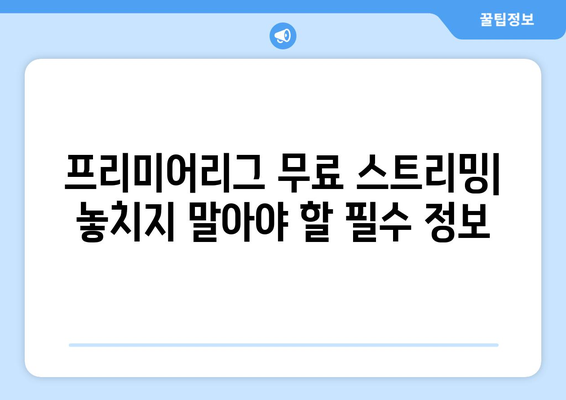 프리미어리그 무료중계: 신뢰할 수 있는 스트리밍 플랫폼 소개