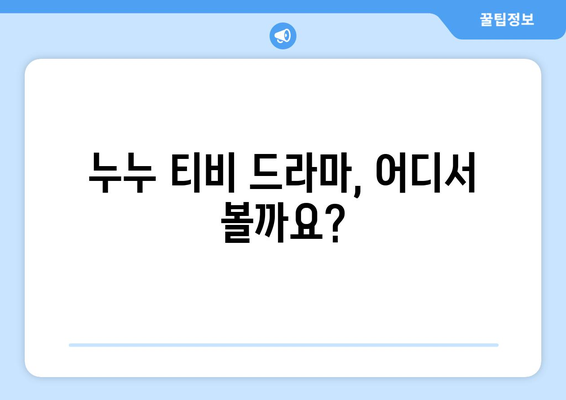 누누 티비 시청 가이드: 드라마 누누 티비를 쉽게 보는 법