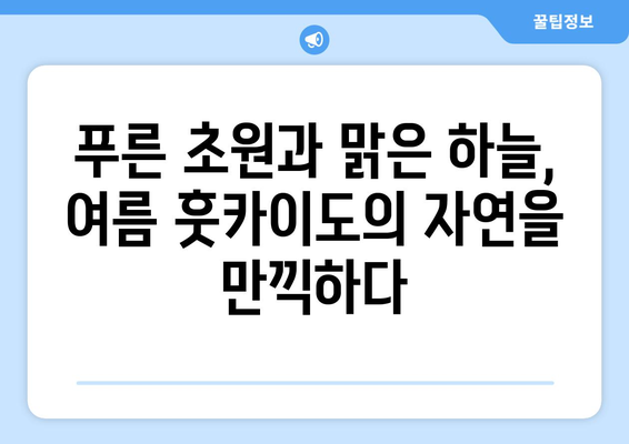 훗카이도 여행 가이드, 자연 속에서 힐링할 수 있는 완벽한 코스