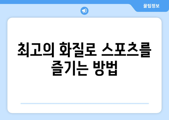 고화질 스포츠 중계 시청을 위한 팁과 추천