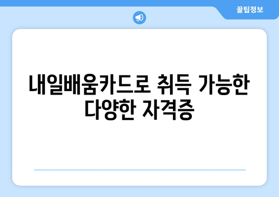 내일배움카드로 취득 가능한 다양한 자격증