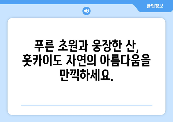 훗카이도 여행 정보, 자연 속에서 힐링할 수 있는 최고의 코스