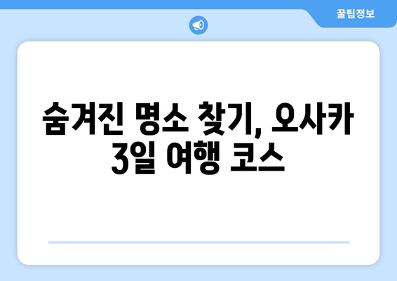 오사카 여행 코스 추천, 효율적인 여행을 위한 일정