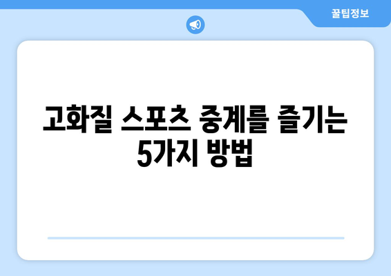 고화질 스포츠 중계 시청 가능한 플랫폼 추천