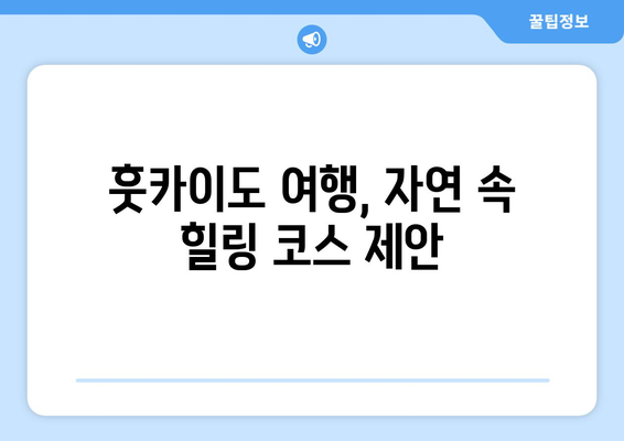 훗카이도 여행 가이드, 자연 속에서 힐링할 수 있는 완벽한 코스