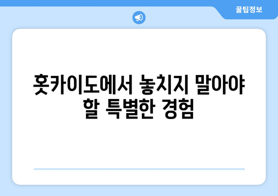 훗카이도 여행 정보, 자연과 문화를 함께 즐기는 방법