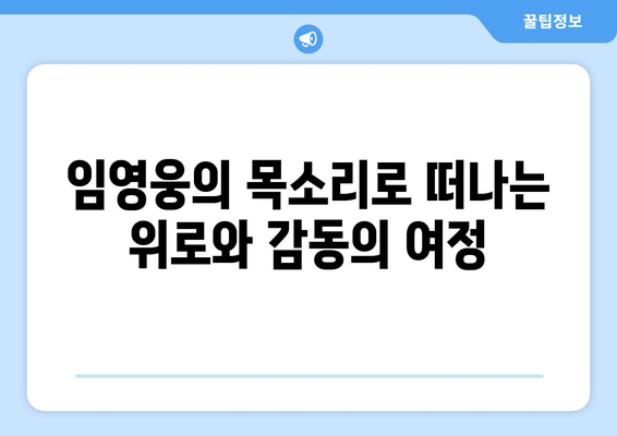 임영웅의 노래로 떠나는 감성 여행