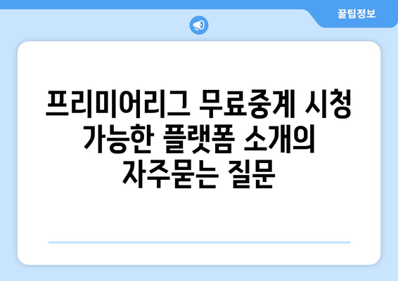 프리미어리그 무료중계 시청 가능한 플랫폼 소개