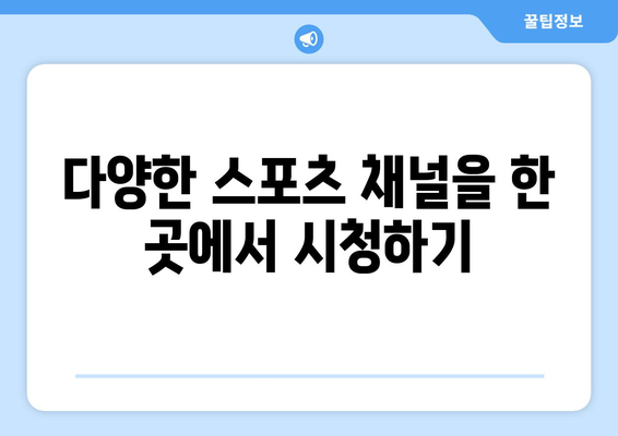 스포츠 실시간 라이브 고화질로 시청 가능한 사이트