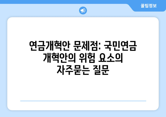 연금개혁안 문제점: 국민연금 개혁안의 위험 요소