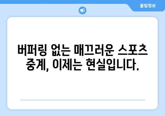 고화질 스포츠 중계, 끊김 없이 즐기는 방법