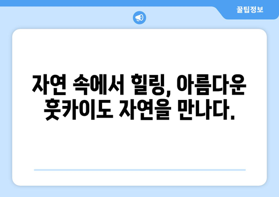 훗카이도 여행 가이드, 자연과 전통을 동시에 느끼는 방법