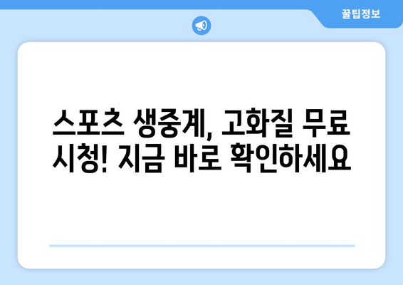 스포츠 실시간 티비 고화질 무료 시청법