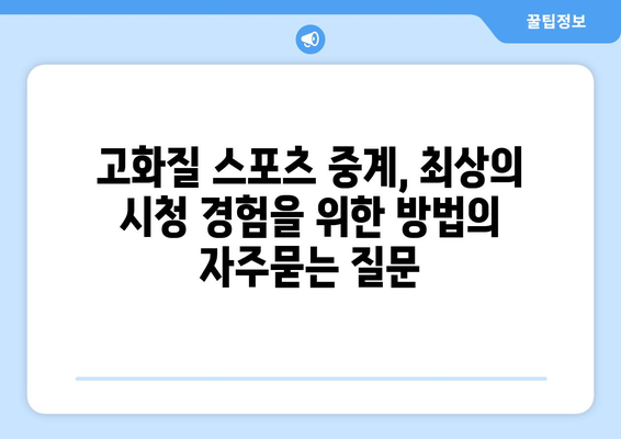 고화질 스포츠 중계, 최상의 시청 경험을 위한 방법