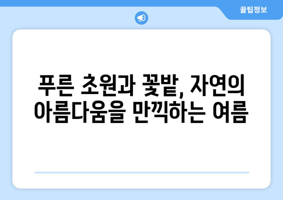 훗카이도 여행 팁, 자연 속에서 즐기는 특별한 경험