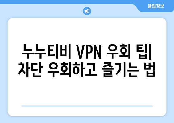 넷플릭스 VPN 누누티비로 즐기기, 우회 팁과 트릭