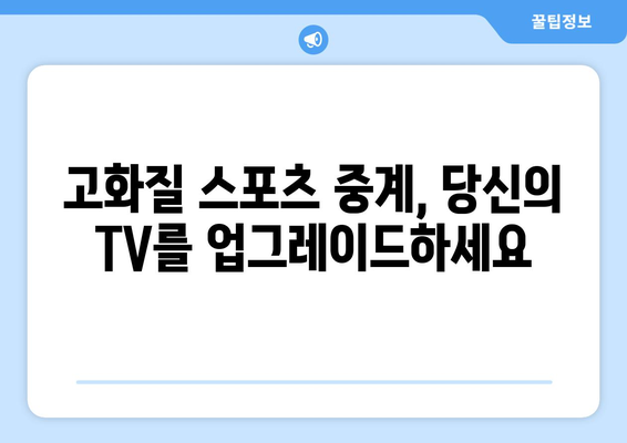 고화질 스포츠 실시간 중계: 최적의 시청 환경 만들기