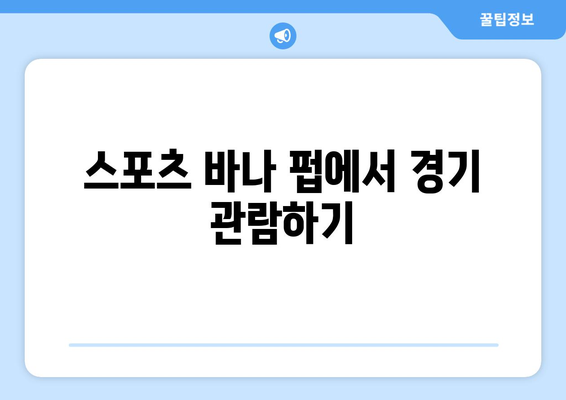 프리미어리그 무료중계 시청을 위한 최선의 방법