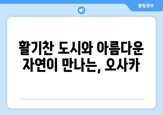 일본 여행지 추천, 일본의 매력을 가득 느낄 수 있는 명소