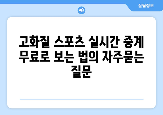 고화질 스포츠 실시간 중계 무료로 보는 법