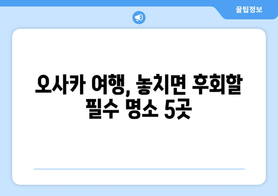 오사카 여행지 소개, 관광객들이 추천하는 필수 명소