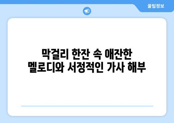 영탁 막걸리 한잔 노래 해석과 감성 분석