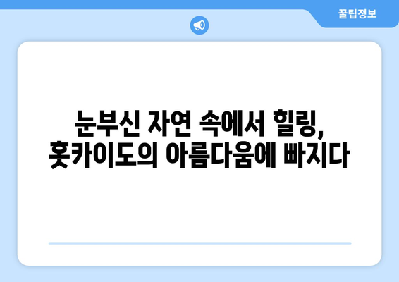 훗카이도 여행 팁, 자연과 문화를 동시에 즐길 수 있는 방법