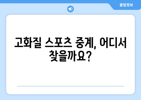 고화질 스포츠 실시간 중계: 최고의 선택은?