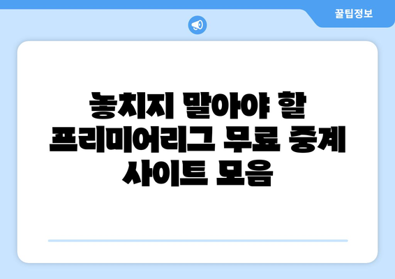 프리미어리그 무료 중계: 놓치지 말아야 할 사이트들