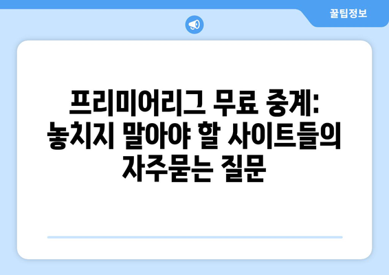 프리미어리그 무료 중계: 놓치지 말아야 할 사이트들