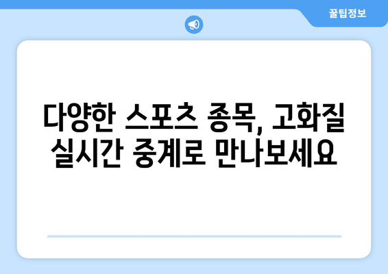 고화질로 보는 스포츠 실시간 중계 서비스 추천