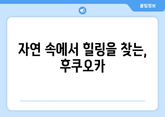 일본 여행지 추천, 일본의 매력을 느낄 수 있는 여행지