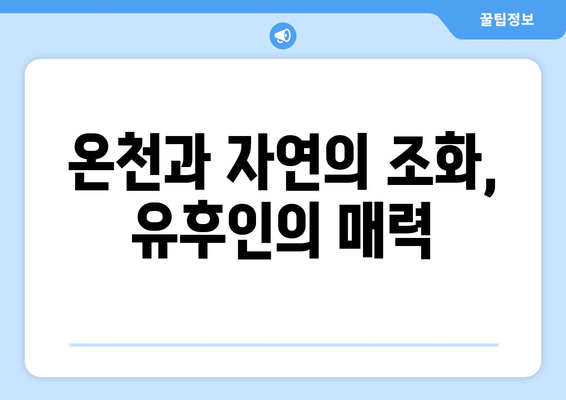 일본 여행지 추천, 일본의 매력을 가득 느낄 수 있는 명소