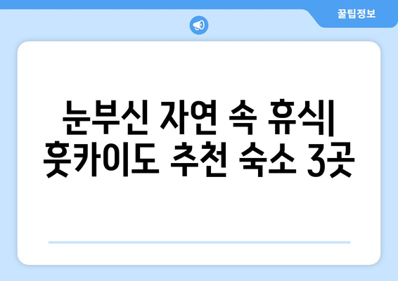 훗카이도 숙소 추천, 가성비 좋은 료칸과 호텔 선택