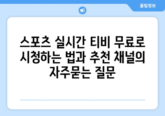 스포츠 실시간 티비 무료로 시청하는 법과 추천 채널