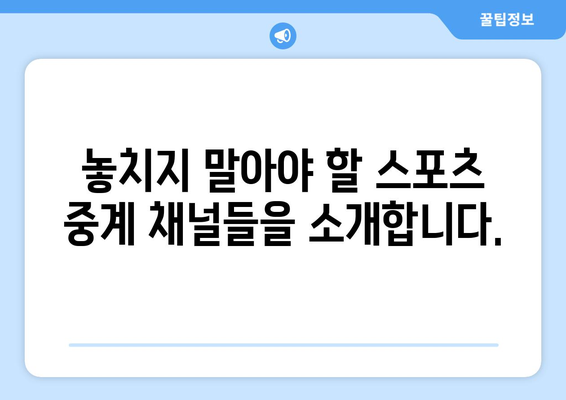 스포츠 실시간 티비 시청: 최고의 채널 추천